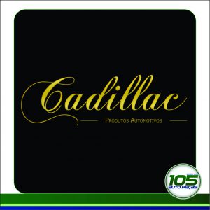 CADILLAC – LAVA AUTO C/ CERA HIGH SHINE